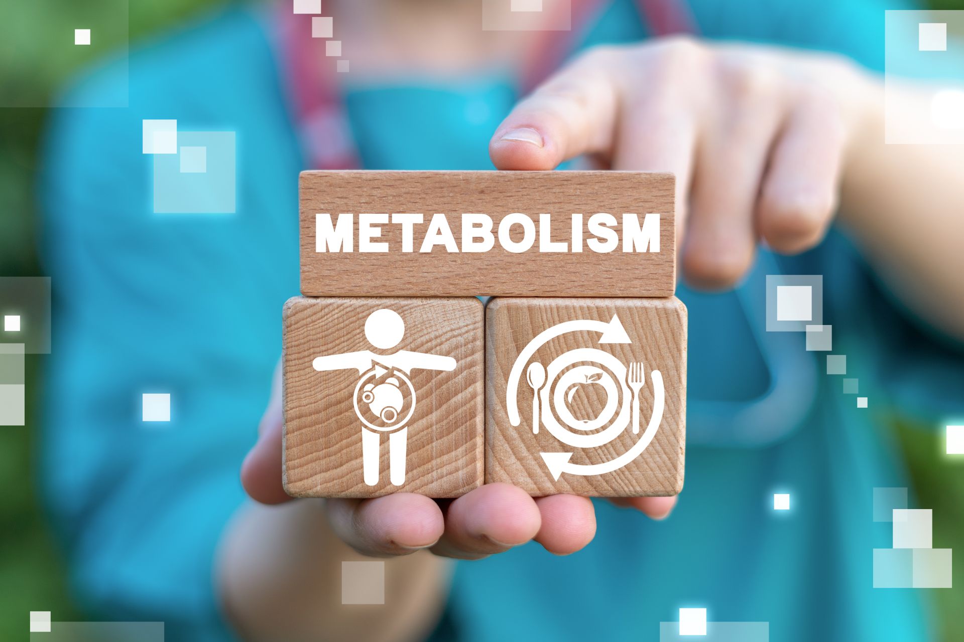 Osoba trzyma drewniane klocki z napisem metabolism